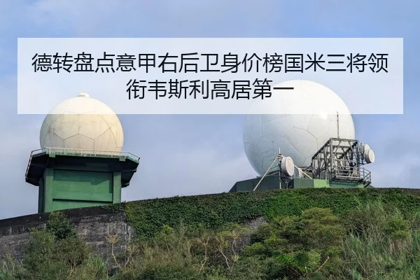 德转盘点意甲右后卫身价榜国米三将领衔韦斯利高居第一